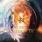 VV.AA. - City of Heroes VV.AA. - City of Heroes