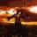 InMe - Daydream Anonymous InMe - Daydream Anonymous