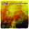 311 - Grassroots 311 - Grassroots