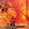 Tiamat - Wildhoney Tiamat - Wildhoney
