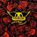 Aerosmith - Permanent Vacation Aerosmith - Permanent Vacation