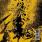 Converge - Beautiful Ruin Converge - Beautiful Ruin