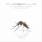 Chevelle - 12 Bloody Spies: B-Sides And Rarities Chevelle - 12 Bloody Spies: B-Sides And Rarities