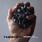Therapy? - Greatest Hits (2020 Versions) Therapy? - Greatest Hits (2020 Versions)