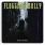Flogging Molly - Drunken Lullabies Flogging Molly - Drunken Lullabies