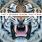 30 Seconds To Mars - This Is War 30 Seconds To Mars - This Is War