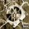 Machine Head - Supercharger Machine Head - Supercharger
