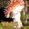 Incubus - Fungus Amongus Incubus - Fungus Amongus