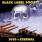 Black Label Society - 1919 Eternal Black Label Society - 1919 Eternal