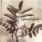 Amorphis - Tuonela Amorphis - Tuonela