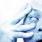 Porcupine Tree - In Absentia Porcupine Tree - In Absentia