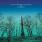 Smashing Pumpkins - Oceania Smashing Pumpkins - Oceania