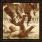 Propagandhi - Less Talk, More Rock Propagandhi - Less Talk, More Rock