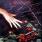 Ministry - With Sympathy Ministry - With Sympathy