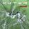 Muted - Sarean Muted - Sarean