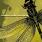 Coheed And Cambria - The Second Stage Turbine Blade Coheed And Cambria - The Second Stage Turbine Blade