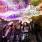 Black Stone Cherry - Magic Mountain Black Stone Cherry - Magic Mountain
