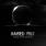 Raised Fist - From the North Raised Fist - From the North