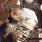 Rotting Christ - A Dead Poem Rotting Christ - A Dead Poem