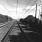 Pupille - Monochrome Pupille - Monochrome