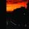 Pupille - S/T Pupille - S/T