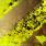 VV.AA. - Pupille - Superstatic Revolution VV.AA. - Pupille - Superstatic Revolution