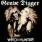 Grave Digger - Witch Hunter Grave Digger - Witch Hunter