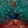 Opeth - Sorceress Opeth - Sorceress