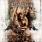 Evergrey - Torn Evergrey - Torn
