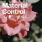 Glassjaw - Material Control Glassjaw - Material Control