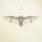 He Is Legend - White Bat He Is Legend - White Bat