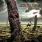 Brainstorm - Memorial Roots Brainstorm - Memorial Roots