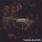 Thorn.Eleven - Circles Thorn.Eleven - Circles