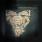Pure Reason Revolution - Amor Vincit Omnia Pure Reason Revolution - Amor Vincit Omnia