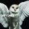 Deftones - Diamond Eyes Deftones - Diamond Eyes