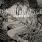 Ion Dissonance - Cursed Ion Dissonance - Cursed