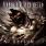 Disturbed - Asylum Disturbed - Asylum