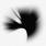 Linkin Park - A Thousand Suns Linkin Park - A Thousand Suns