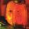 Alice In Chains - Jar Of Flies Alice In Chains - Jar Of Flies