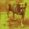 Alice In Chains - Alice In Chains Alice In Chains - Alice In Chains