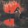 Opeth - Still Life Opeth - Still Life