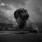 Trivium - In Waves Trivium - In Waves