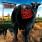 Blink-182 - Dude Ranch Blink-182 - Dude Ranch