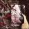 Dark Tranquillity - The Mind's I Dark Tranquillity - The Mind's I