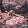Staind - Tormented Staind - Tormented