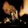 Pearl Jam - Riot Act Pearl Jam - Riot Act