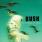 Bush - The Science Of Things Bush - The Science Of Things