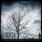 Dry Kill Logic - The Dead And Dreaming Dry Kill Logic - The Dead And Dreaming