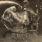 Horseback - Half Blood Horseback - Half Blood