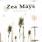Zea Mays - Morphina Zea Mays - Morphina